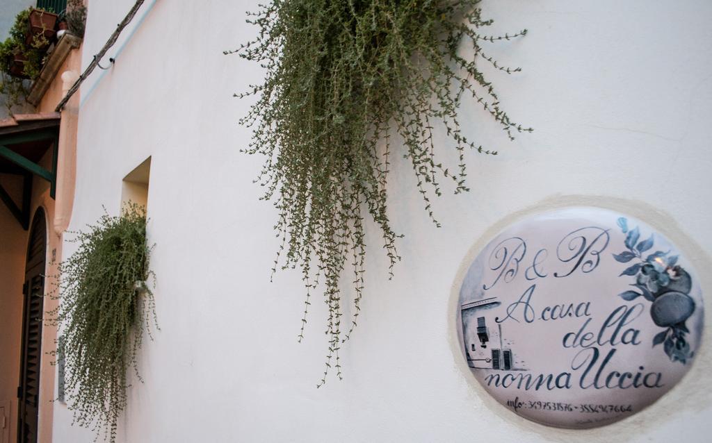 B&B A Casa Della Nonna Uccia Nardò Kültér fotó